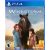 Windstorm: An Unexpected Arrival /PS4