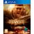Risen /PS4