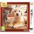 Nintendogs and Cats 3D: Golden Retriever (Selects) /3DS