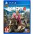 Far Cry 4 /PS4
