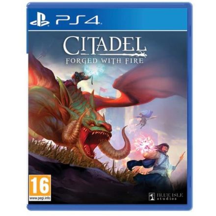 Citadel: Forged With Fire /PS4