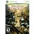 The Lord of the Rings Conquest XBOX 360 használt