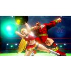 Street Fighter V Champion Edition PS4