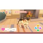 Cat Rescue Story PS4