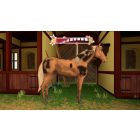 Bibi & Tina PS4 használt