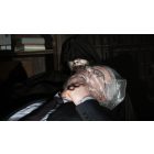 Resident Evil: Requiem - PC