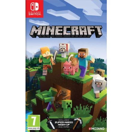 Minecraft SWITCH
