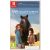 Windstorm: An Unexpected Arrival SWITCH