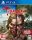 Dead Island Definitive Edition PS4 