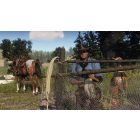 Red Dead Redemption II PS4 használt