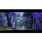 Ghost of Tsushima: Director’s Cut PS5 használt